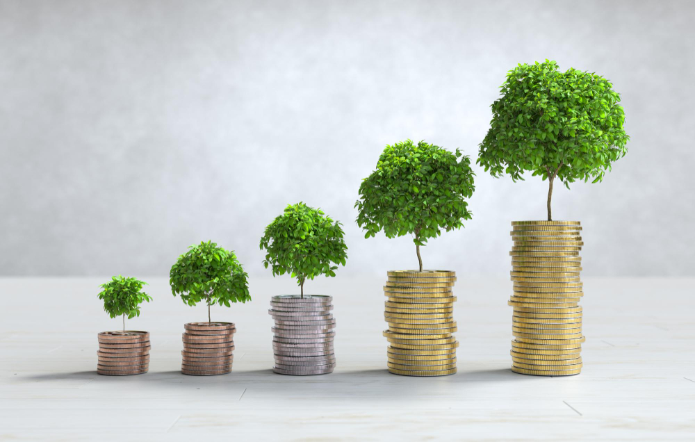 Bajaj Finserv Small Cap Fund NFO: छोटे शेयरों में बड़ा मौका! जानिए क्यों है ये निवेश के लिए खास 2 bajaj finserv ipo hkk